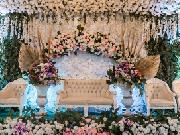 PestaBox-Neptune Camerawork