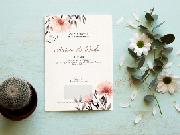 PestaBox-Neptune Camerawork